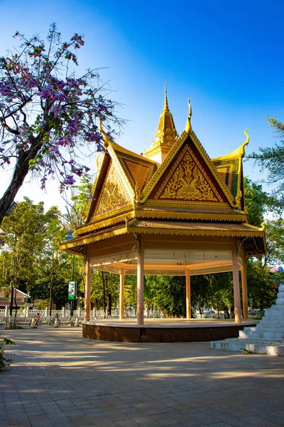 Cambodge Phnom Penh Quel Temple Phnom — Photo