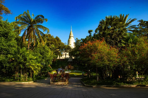 Camboja Phnom Penh Que Templo Phnom — Fotografia de Stock