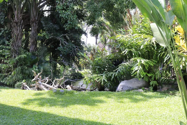 Parque Aves Ubud Indonesia — Foto de Stock