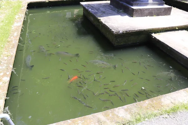 Aziatische Tempel Goa Gajah Indonesië — Stockfoto