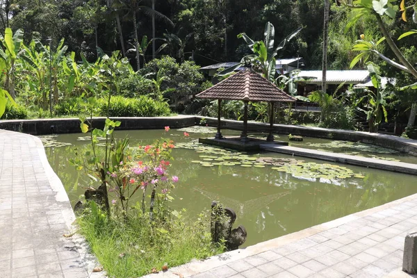 Templo Asiático Goa Gajah Indonésia — Fotografia de Stock