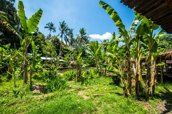 Asian Temple Goa Gajah Indonesia — Stock Photo, Image