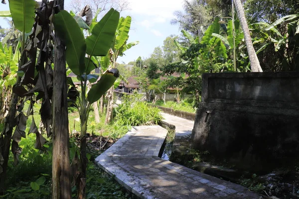 Aziatische Tempel Goa Gajah Indonesië — Stockfoto