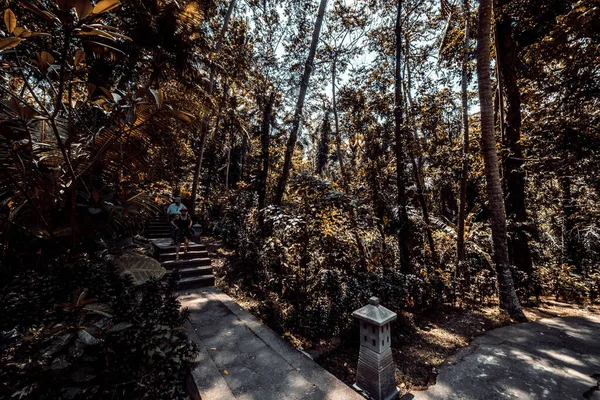 Architectuur Van Goa Gajah Tempel Indonesië — Stockfoto