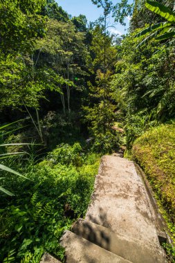 Goa Gajah tapınağı bölgesi, Endonezya