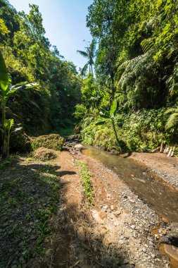 Goa Gajah tapınağı bölgesi, Endonezya