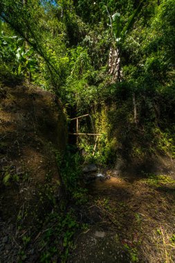 Goa Gajah tapınağı bölgesi, Endonezya