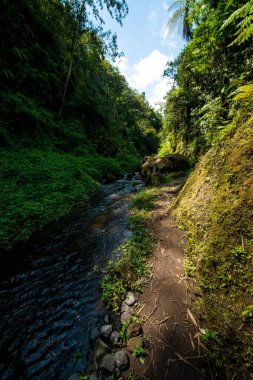 Goa Gajah tapınağı bölgesi, Endonezya