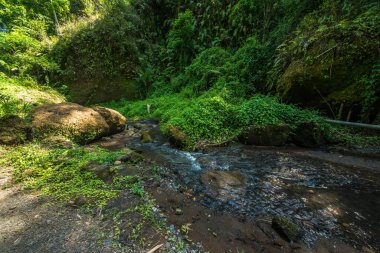 Goa Gajah tapınağı bölgesi, Endonezya