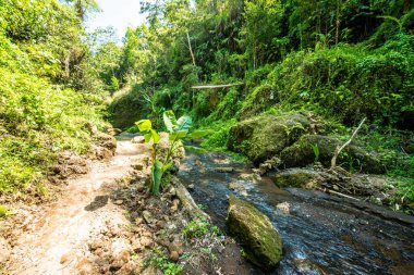 Goa Gajah tapınağı bölgesi, Endonezya