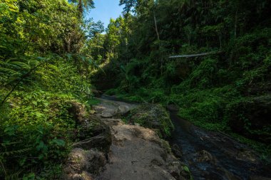 Goa Gajah tapınağı bölgesi, Endonezya