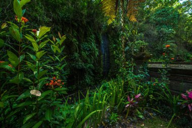 Goa Gajah tapınağı bölgesi, Endonezya