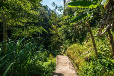 Goa Gajah tapınağı bölgesi, Endonezya