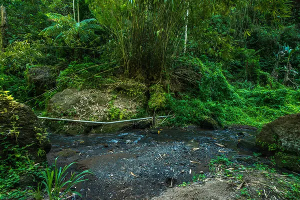 Tempel Von Goa Gajah Indonesien — Stockfoto