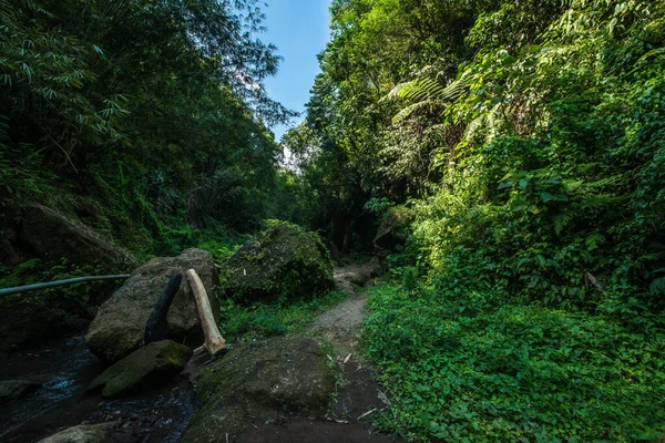 Goa Gajah Tempel Grondgebied Indonesië — Stockfoto