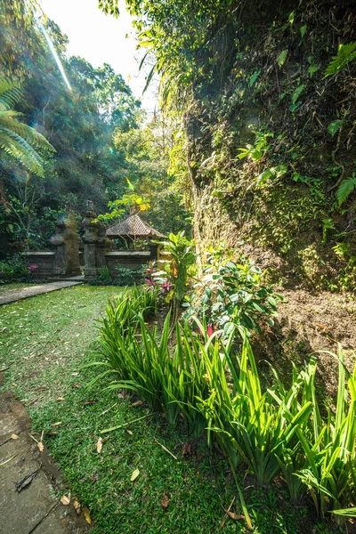 Territorio Del Tempio Goa Gajah Indonesia — Foto Stock