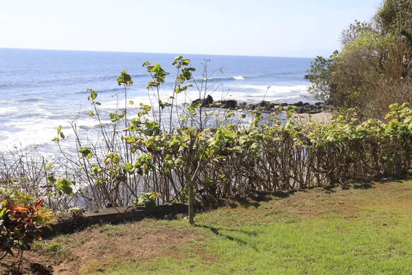 Templo Indonesio Tanah Lot Ubud — Foto de Stock