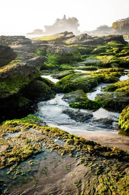 Endonezya tapınağından güzel bir okyanus manzarası 