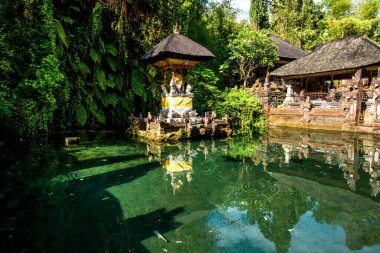 Ubud 'daki Endonezya antik tapınağı 