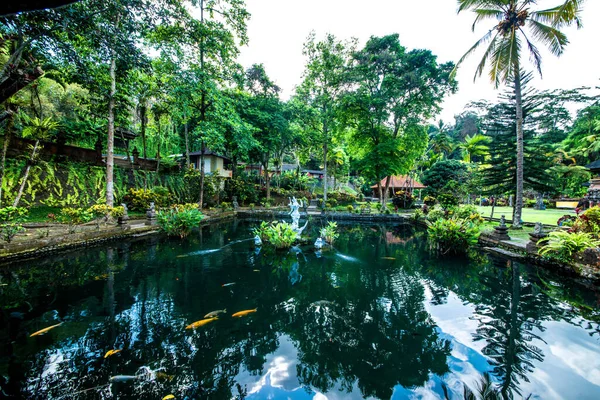 Vijver Gunung Kawi Sebatu Tempel Indonesië — Stockfoto