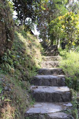 Gündüz vakti Endonezya 'da Gunung Kawi Tapınağı