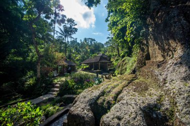 Ubud 'daki Endonezya antik tapınağı 