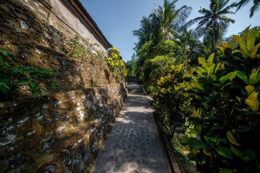 Ubud 'daki Endonezya antik tapınağı 