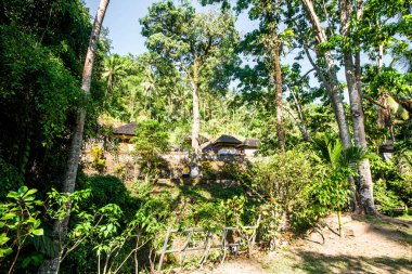 Ağaçlı doğa ve Endonezya 'daki tapınak nehri.