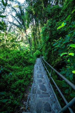 Gündüz vakti Endonezya 'da Gunung Kawi Tapınağı
