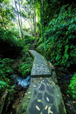 Gündüz vakti Endonezya 'da Gunung Kawi Tapınağı