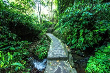 Gündüz vakti Endonezya 'da Gunung Kawi Tapınağı