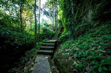 Gündüz vakti Endonezya 'da Gunung Kawi Tapınağı