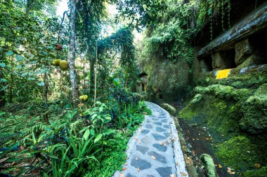 Endonezya 'daki Gunung Kawi Tapınağı' nın antik mimarisi