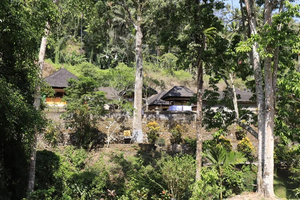 インドネシアの寺院の木や川と自然 — ストック写真