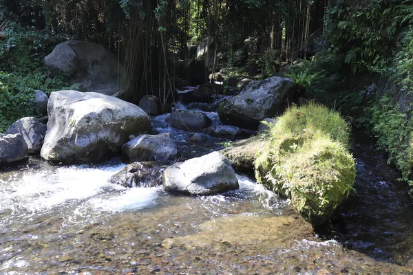 Naturaleza Con Árboles Río Templo Indonesia —  Fotos de Stock