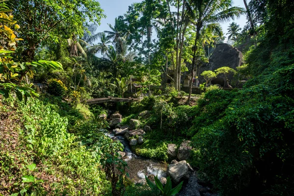 Natur Mit Bäumen Und Tempelfluss Indonesien — Stockfoto