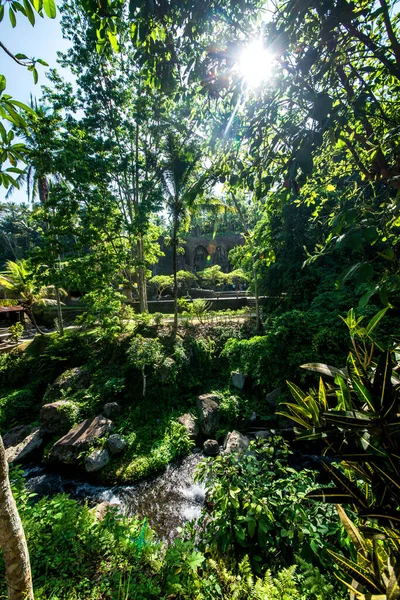 Naturaleza Con Árboles Río Templo Indonesia — Foto de Stock