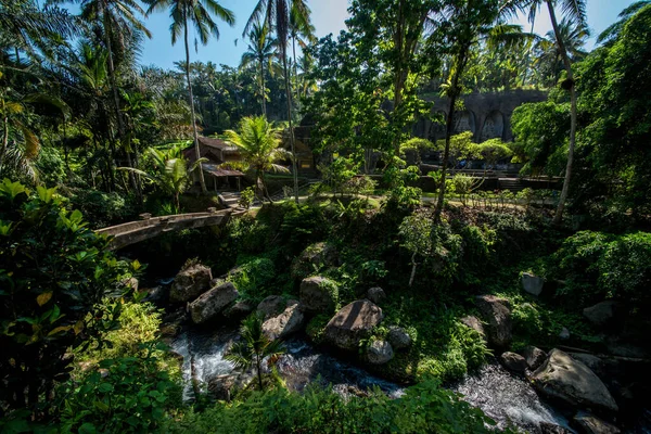 Natuur Met Bomen Rivier Van Tempel Indonesië — Stockfoto