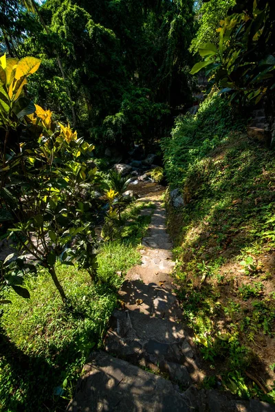 Natur Mit Bäumen Und Tempelfluss Indonesien — Stockfoto