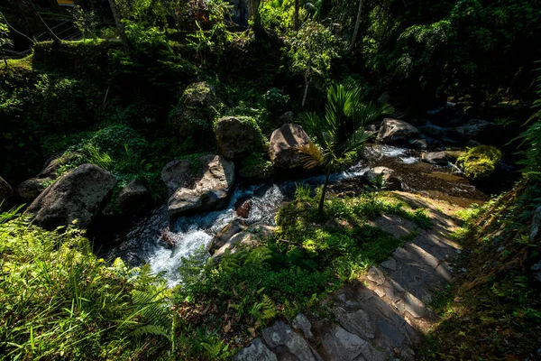 Nature Trees River Temple Indonesia — Stock Photo, Image