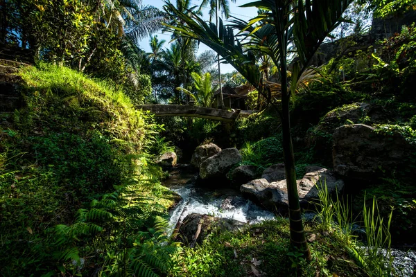 インドネシアの寺院の木や川と自然 — ストック写真