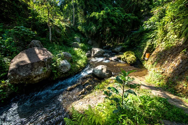 Naturaleza Con Árboles Río Templo Indonesia —  Fotos de Stock