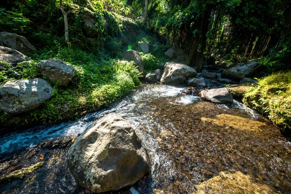 Naturaleza Con Árboles Río Templo Indonesia — Foto de Stock