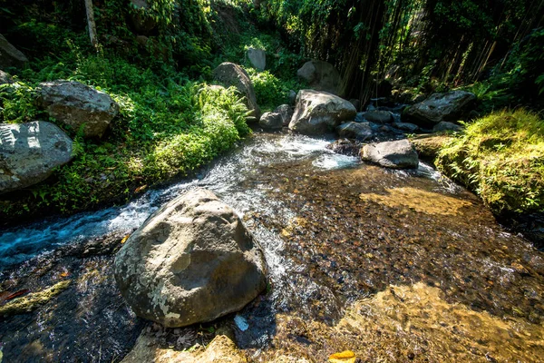 Naturaleza Con Árboles Río Templo Indonesia —  Fotos de Stock