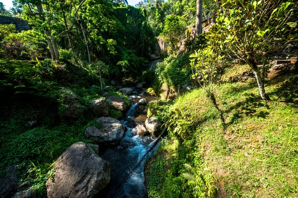 Φύση Δέντρα Και Ποτάμι Του Ναού Στην Ινδονησία — Φωτογραφία Αρχείου