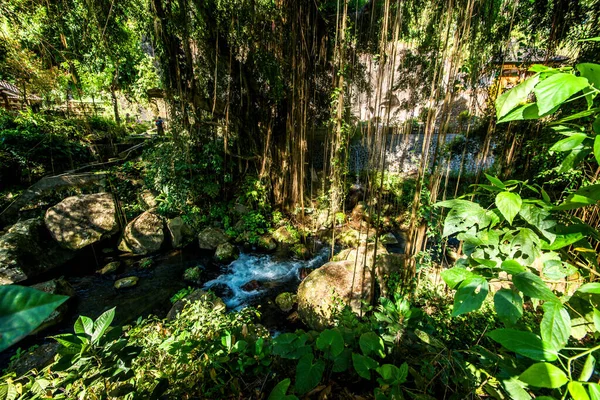 Natur Mit Bäumen Und Tempelfluss Indonesien — Stockfoto