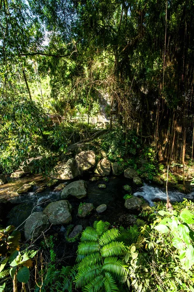 Alam Dengan Pepohonan Dan Sungai Kuil Indonesia — Stok Foto