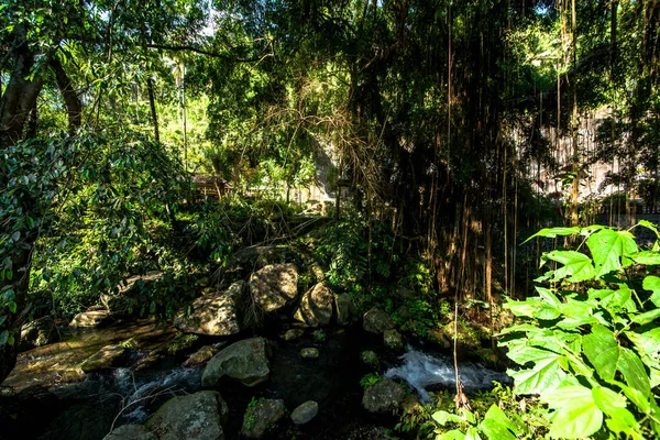 Naturaleza Con Árboles Río Templo Indonesia — Foto de Stock