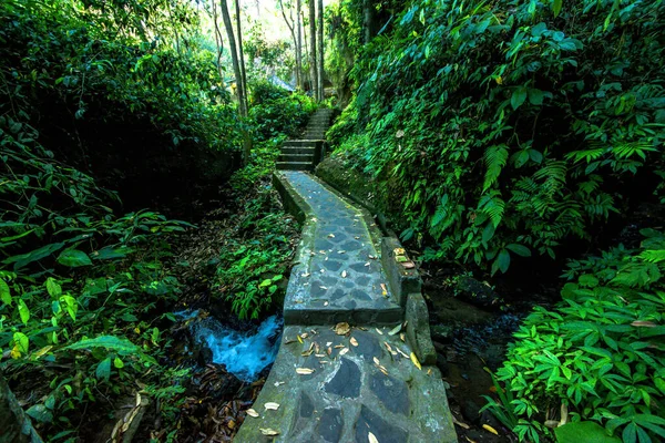 Gunung Kawi Chrám Dne Indonésii — Stock fotografie