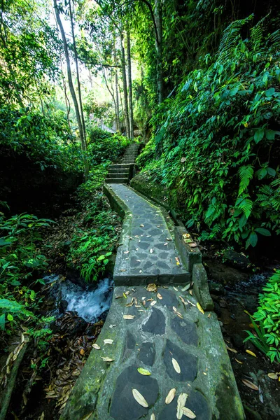 Templo Gunung Kawi Durante Día Indonesia —  Fotos de Stock